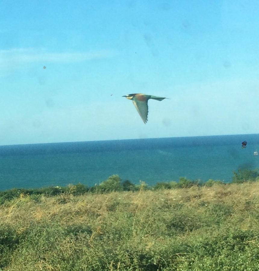 Agriturismo La Costa Dei Trabocchi Torino di Sangro Eksteriør bilde