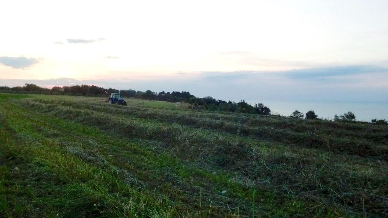 Agriturismo La Costa Dei Trabocchi Torino di Sangro Eksteriør bilde